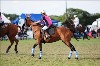 UKPA  NC Sat_1467